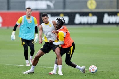 Official: Parma sign Diallo from Borussia Dortmund