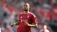 Wanted man: Would Liverpool's Gakpo be a good fit at Spurs?