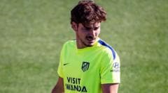 Atletico's Alvarez will return after 'learning experience' - Simeone